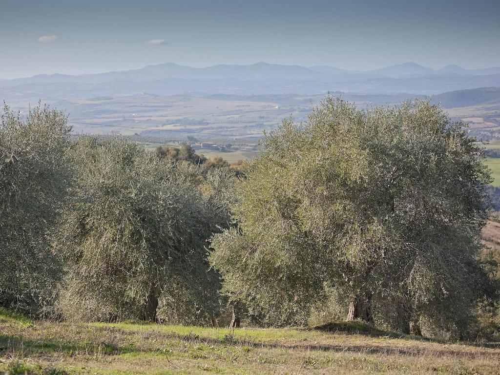 Tenuta La Silva Seggiano Exterior foto